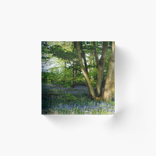 The Magic Faraway Tree Acrylic Block
