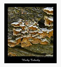 Wacky Tobacky Photographic Print