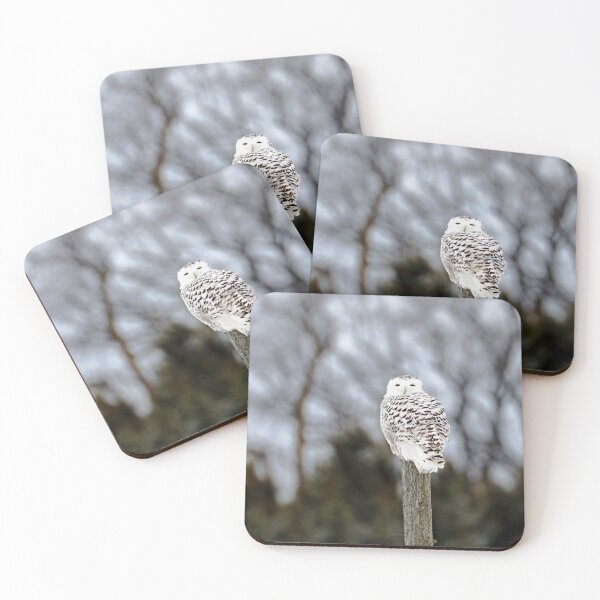 Item preview, Snowy Owl On Fence Post designed and sold by Deb Oppermann.