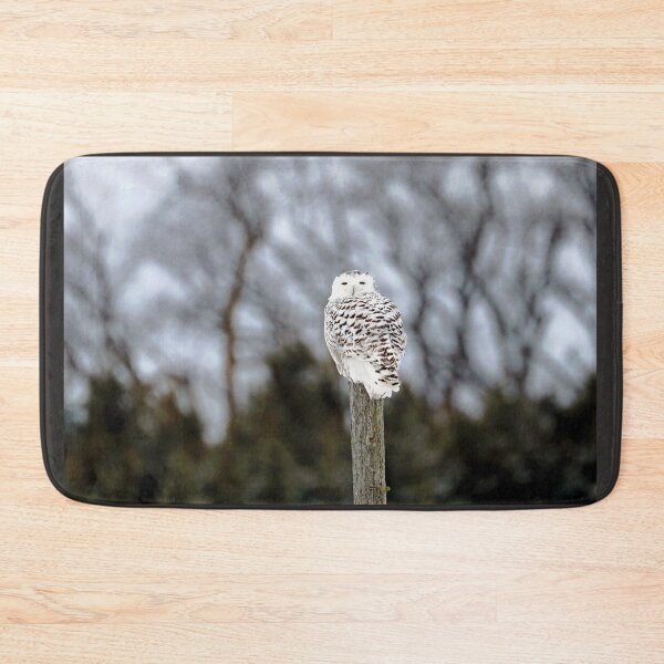 Item preview, Snowy Owl On Fence Post designed and sold by Deb Oppermann.