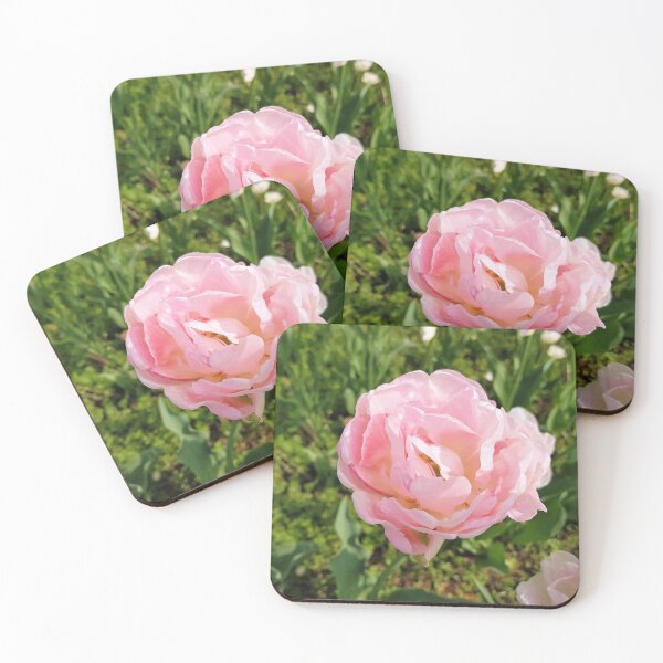 Item preview, Pink rose designed and sold by Sascha Richartz.