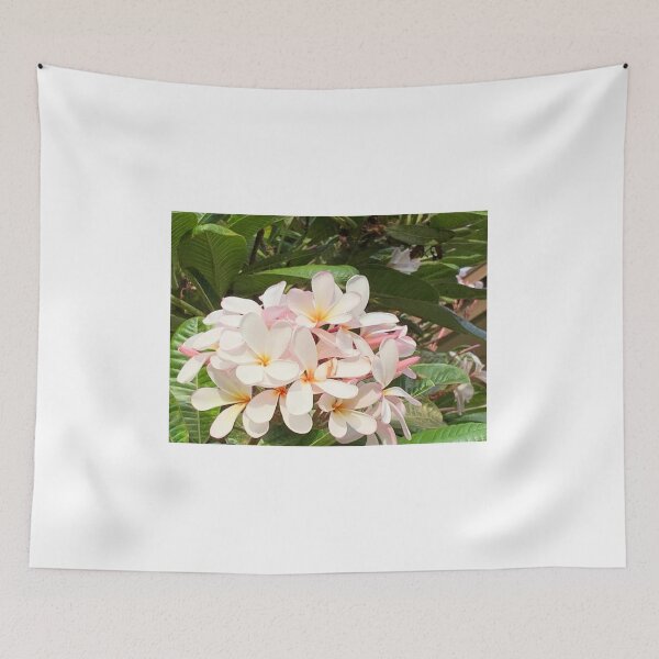 Aperçu de l'œuvre Plumeria d'Hawaï créée et vendue par Jennco60.