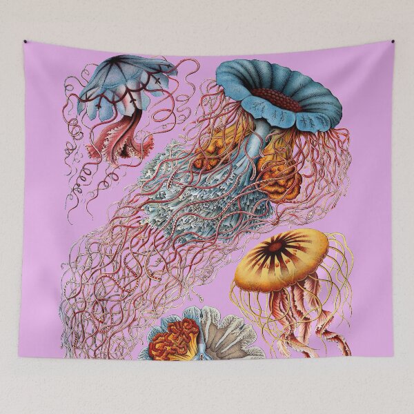 Item preview, Ernst Haeckel - Discomedusae designed and sold by vintagerepros.