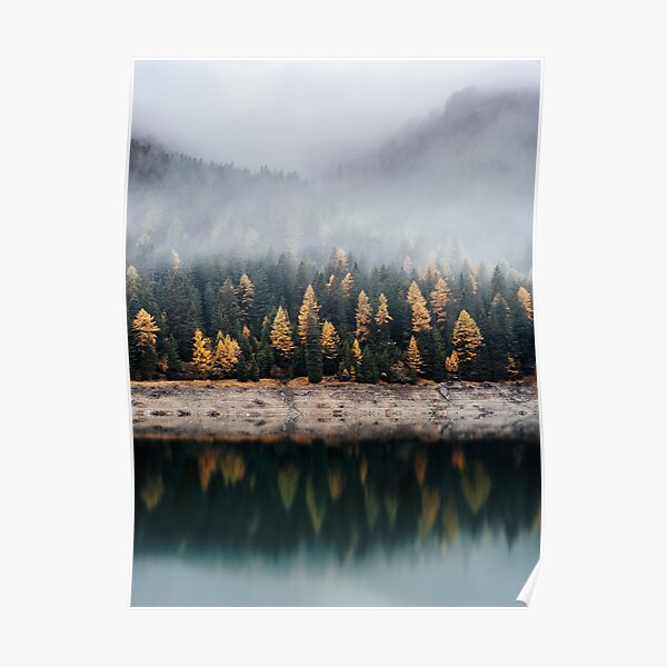 mystical fog forest Poster