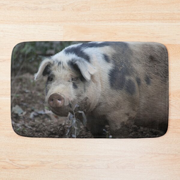 Item preview, Pig in Mud designed and sold by Allen Penton.