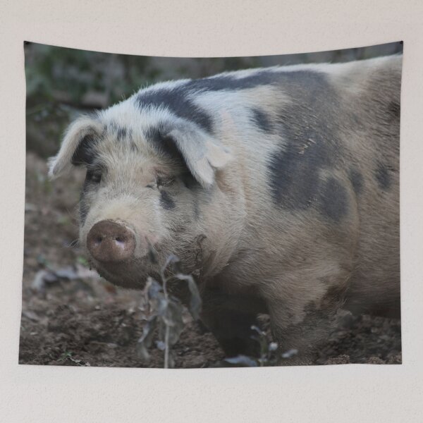 Item preview, Pig in Mud designed and sold by Allen Penton.