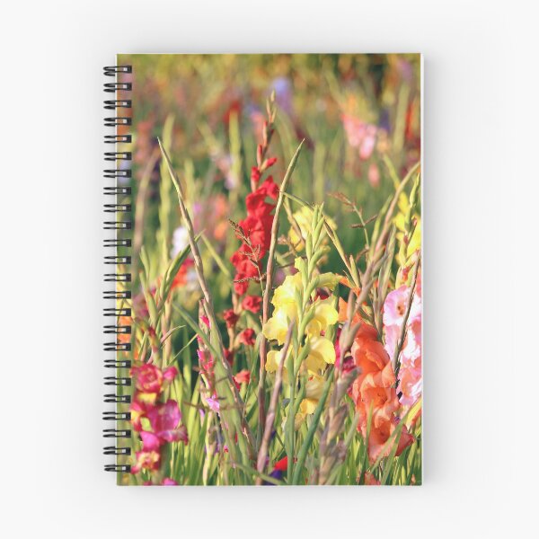 Item preview, gladioli designed and sold by fourretout.