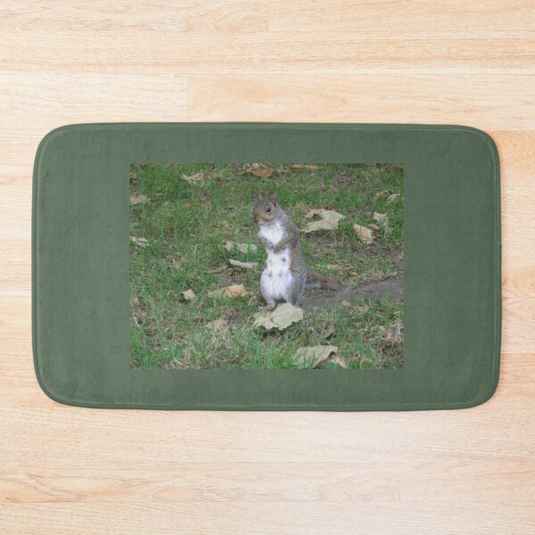 Item preview, Female Grey Squirrel with Guilty Face Photograph designed and sold by naturegallery.