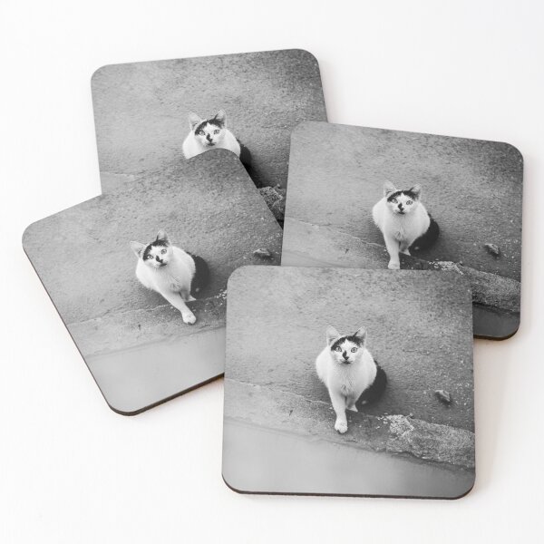 Item preview, Street Cat Portrait  designed and sold by jivkovb.