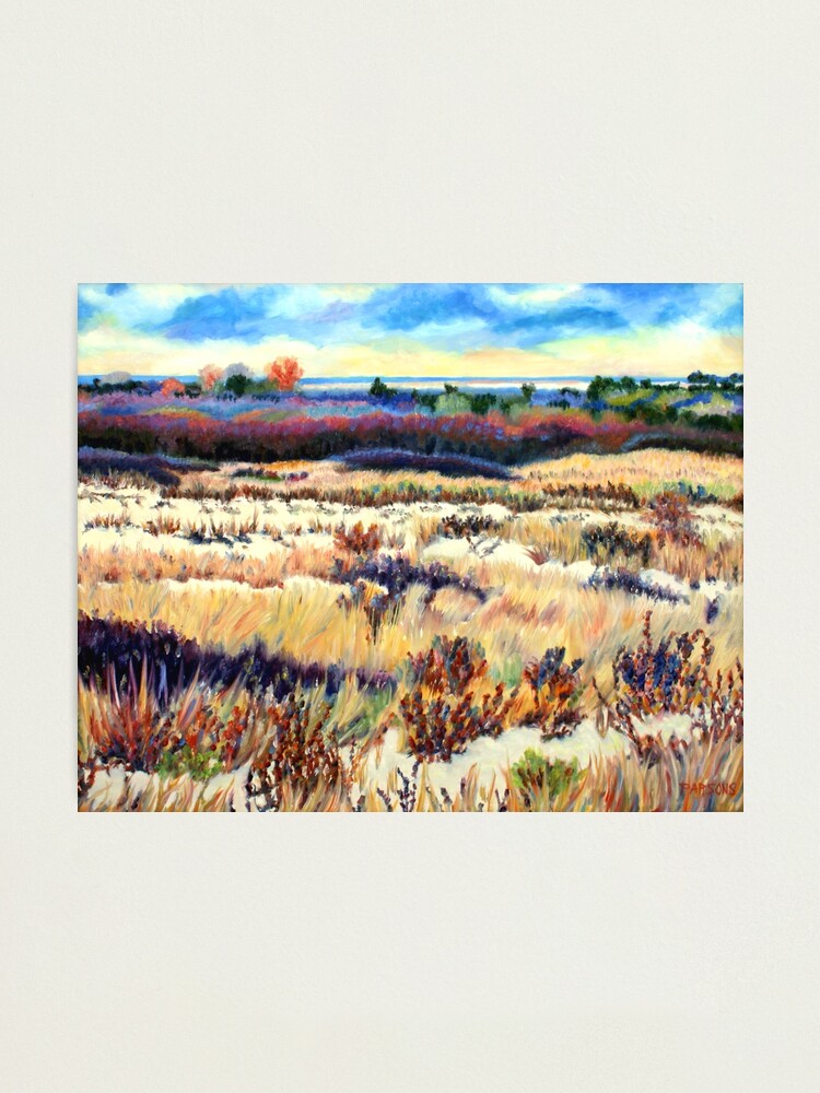 Alternate view of Winter Dunes, Long Beach Island, New Jersey, Jersey Shore, from impressionist oil painting by Pamela Parsons Photographic Print
