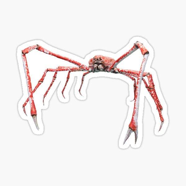 Spider Crab Stickers Redbubble