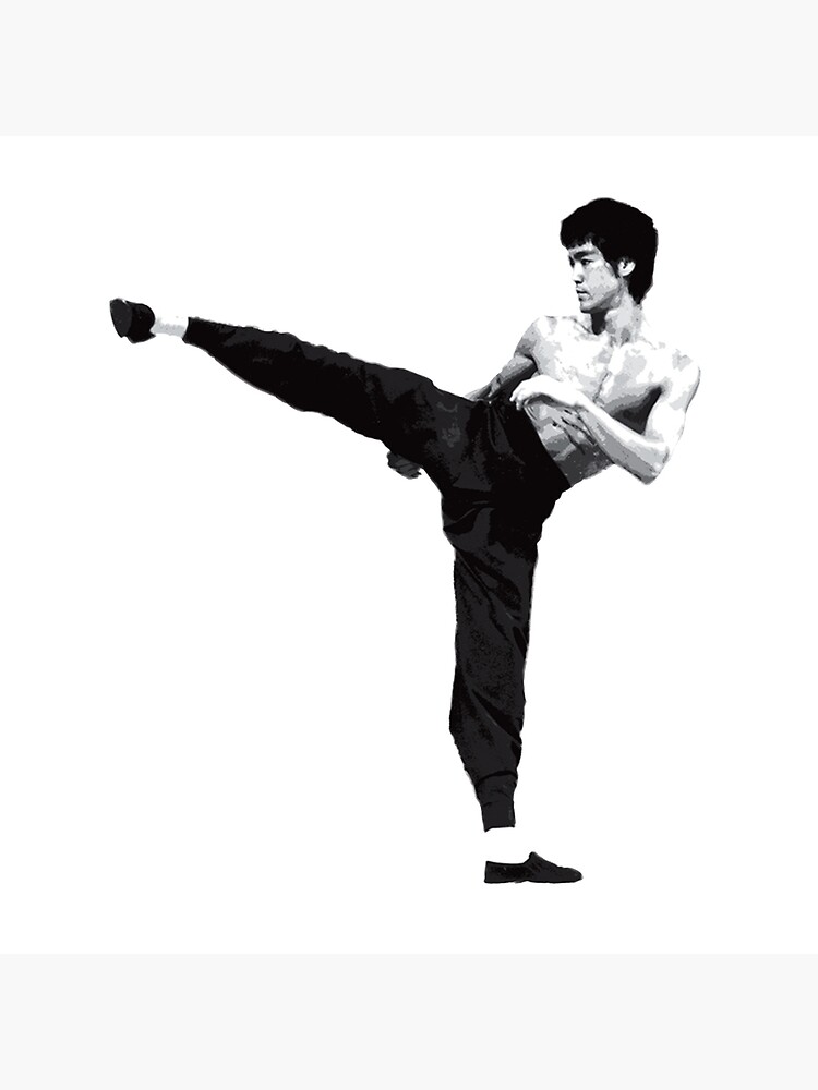 bruce lee kick images