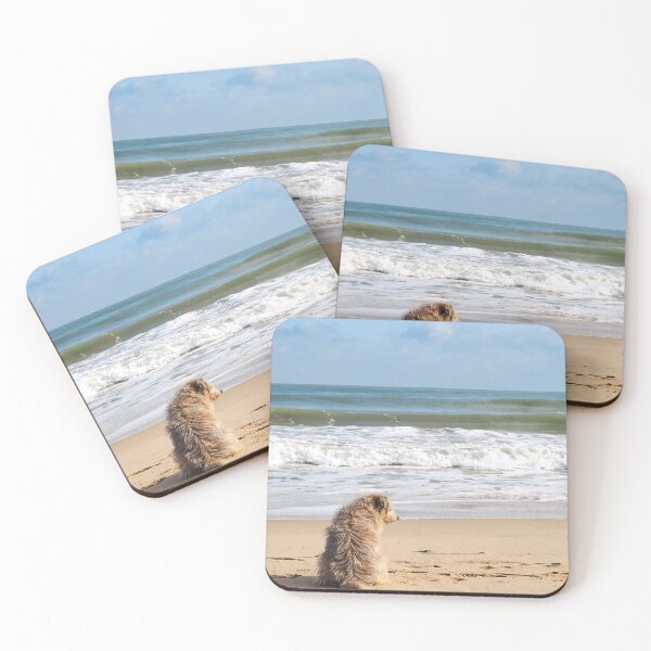Item preview, Sea dog designed and sold by jivkovb.