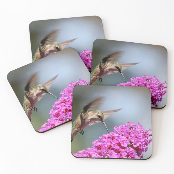 Item preview, Ruby-throated Hummingbird designed and sold by BRENDA DOHERTY.