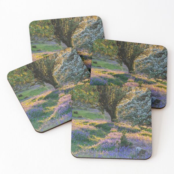 Item preview, Sunset in bluebell wood, springtime. designed and sold by sandyprints.