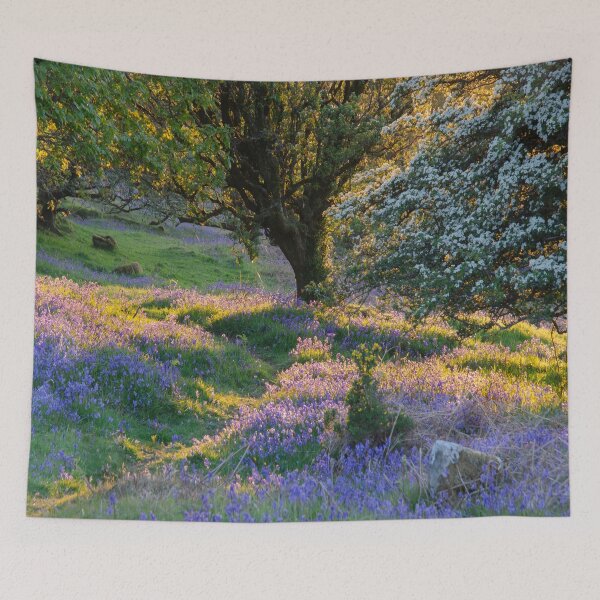Item preview, Sunset in bluebell wood, springtime. designed and sold by sandyprints.