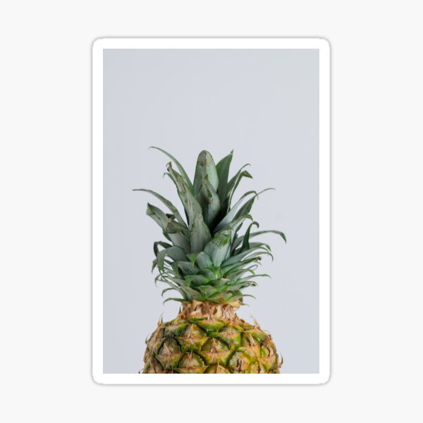 Item preview, Ananas designed and sold by Pashpeh.