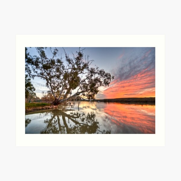 Red Autumn Leaves Forest Trees Sunset Waterfall Photo Wall Canvas Landscape RMC