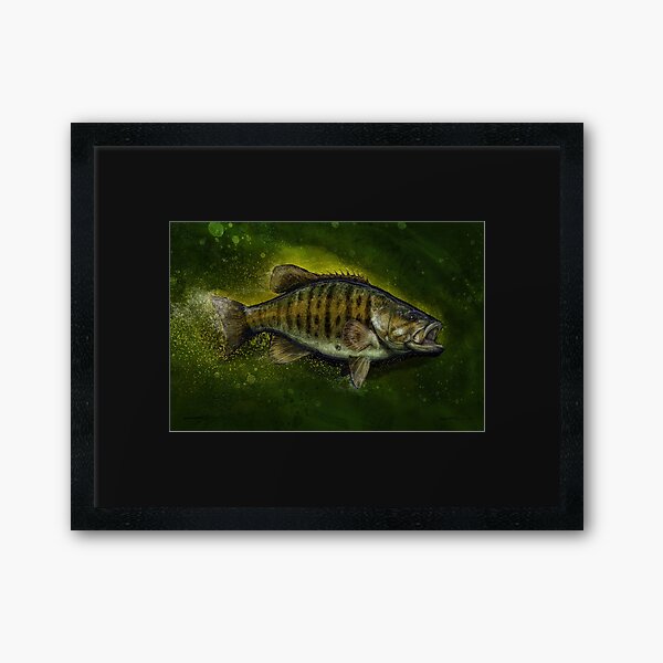 The Smallmouth Bass Framed Art Print for Sale by fishweardesigns