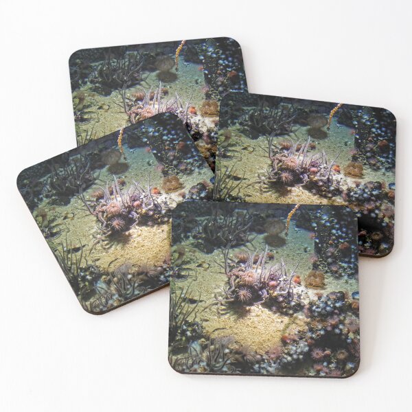 Item preview, Under The Sea designed and sold by Maria Tzamtzi.
