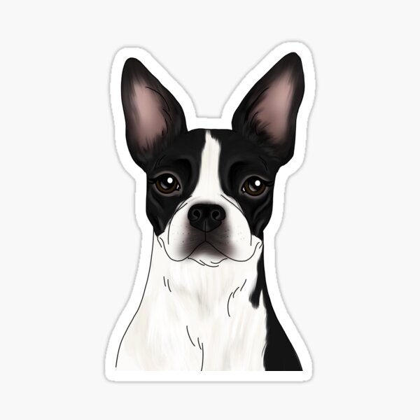 Details about / Pride Of A Boston Terrier Mom Sticker Portrait