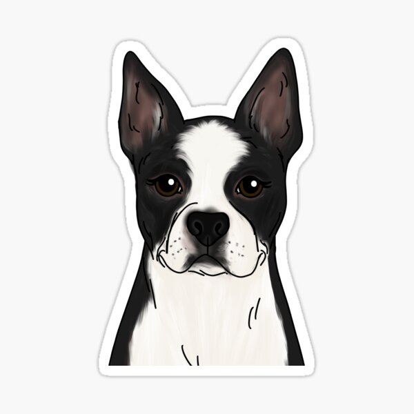 Details about / Pride Of A Boston Terrier Mom Sticker Portrait
