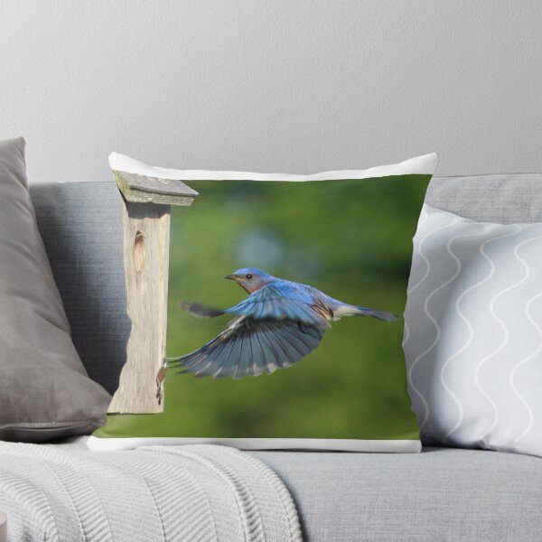 Item preview, Stunning Entry designed and sold by stopal.