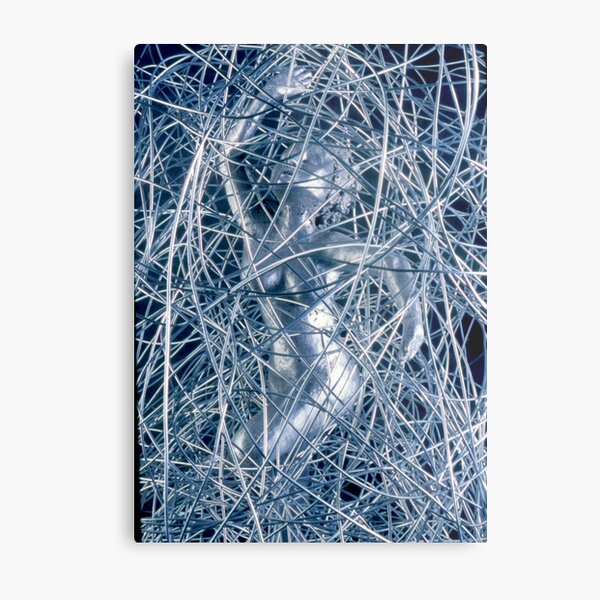 Wireform(lucia) - detail Metal Print