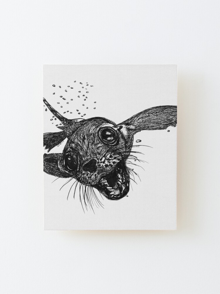 Alternate view of Dom the Australian Fur Seal Mounted Print