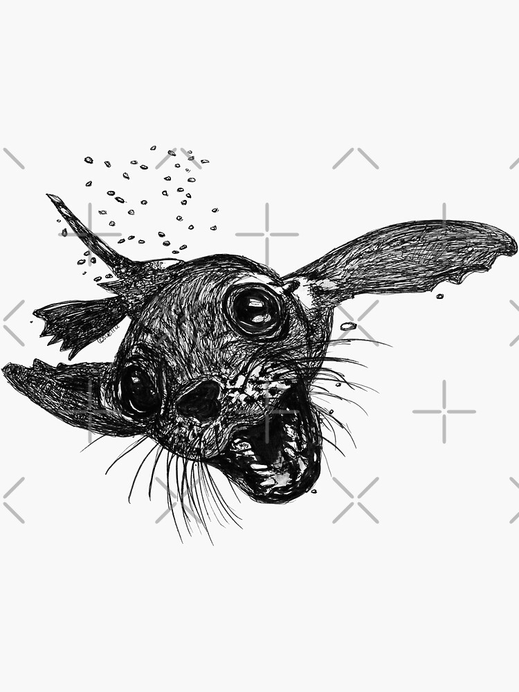 Dom the Australian Fur Seal by Wildcard-Sue