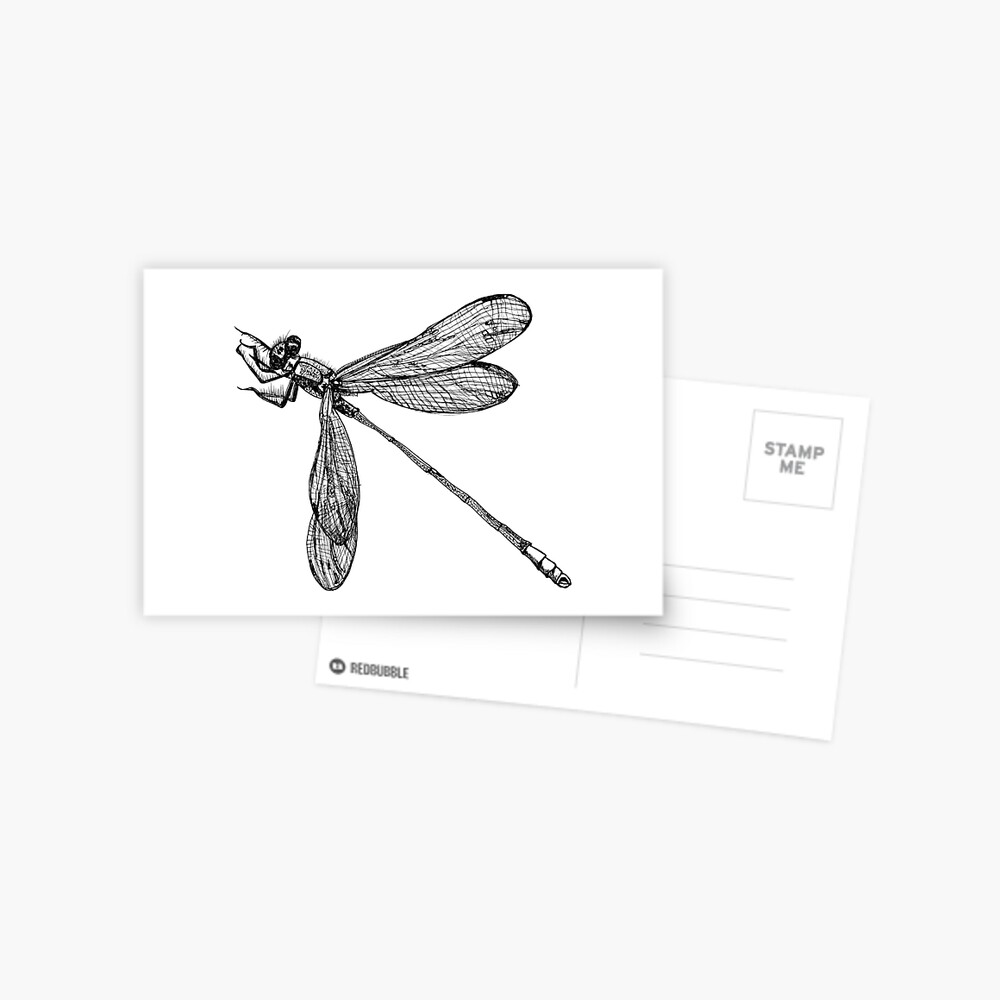 Lynette the Dragonfly Postcard