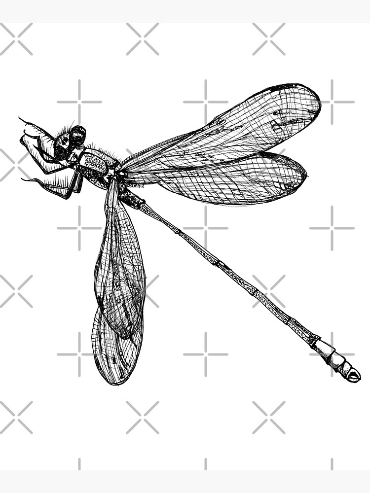 Lynette the Dragonfly by Wildcard-Sue