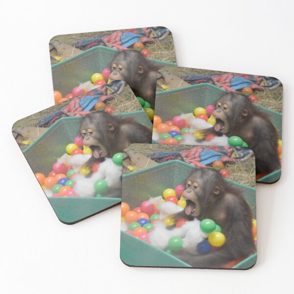 Item preview, Orangutan Redd at the National Zoo designed and sold by Zoo and Nature Photography by Karie.