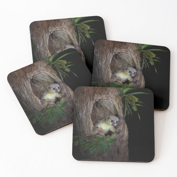 Item preview, Kinkajou designed and sold by mlorenz.