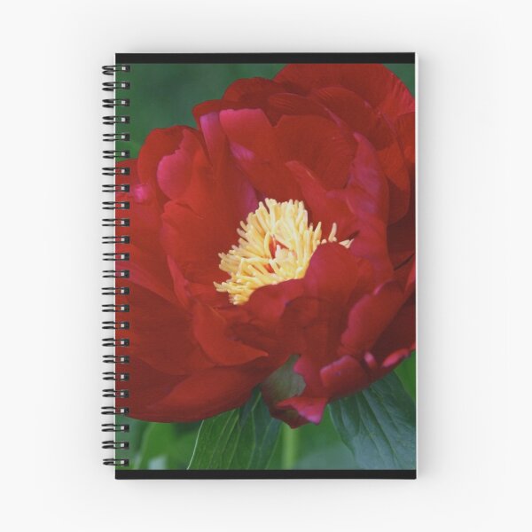 Item preview, Red Peony designed and sold by BarbaraWilliams.