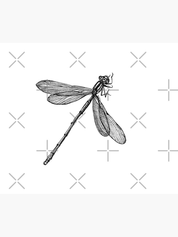 Eve the Dragonfly on the way up by Wildcard-Sue