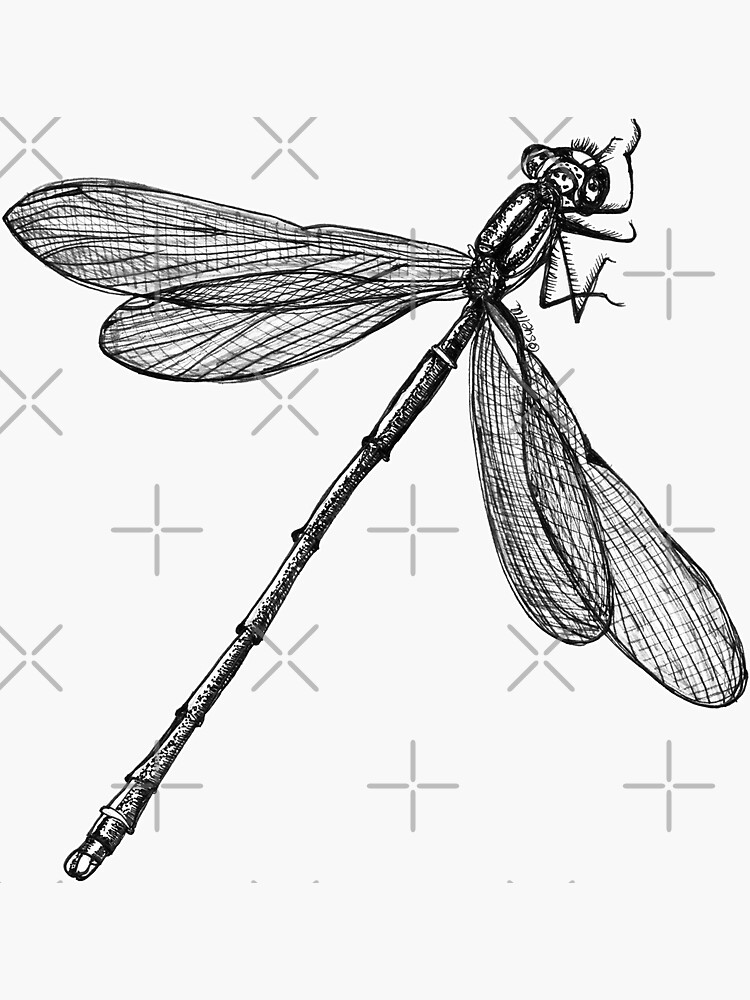 Eve the Dragonfly on the way up by Wildcard-Sue