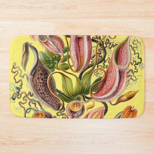 Item preview, Ernst Haeckel - Nepenthaceae - Art Forms in Nature - Vintage Reproductions designed and sold by vintagerepros.