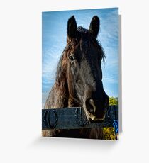 Damn Fence Greeting Card