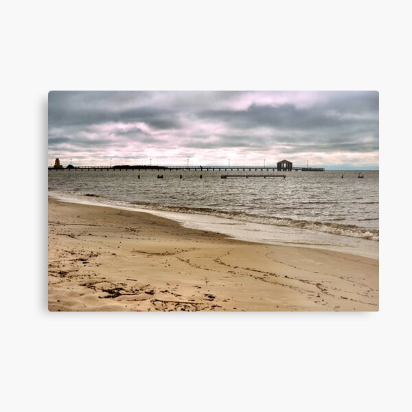 Metal Print