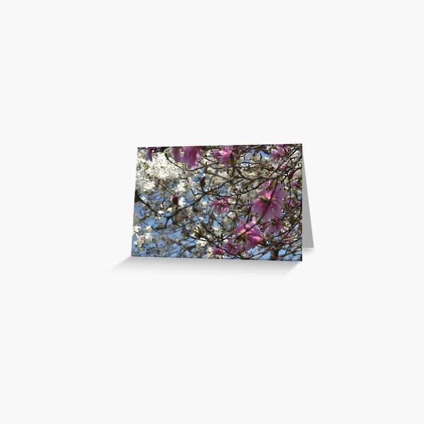 Item preview, Spring flowers designed and sold by rsommer.