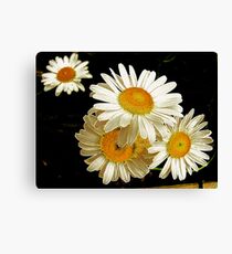Daisy Photoart Canvas Print