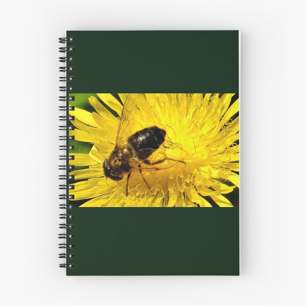 Item preview, Hoverfly on Dandy ........... designed and sold by lynn carter.