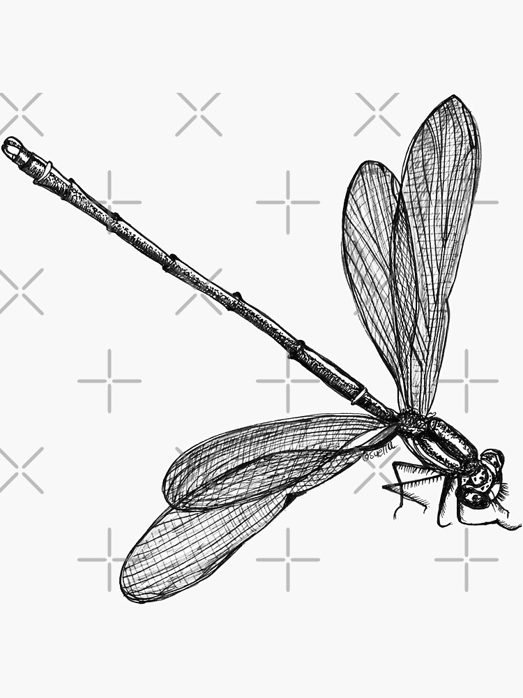 Eve the Dragonfly by Wildcard-Sue