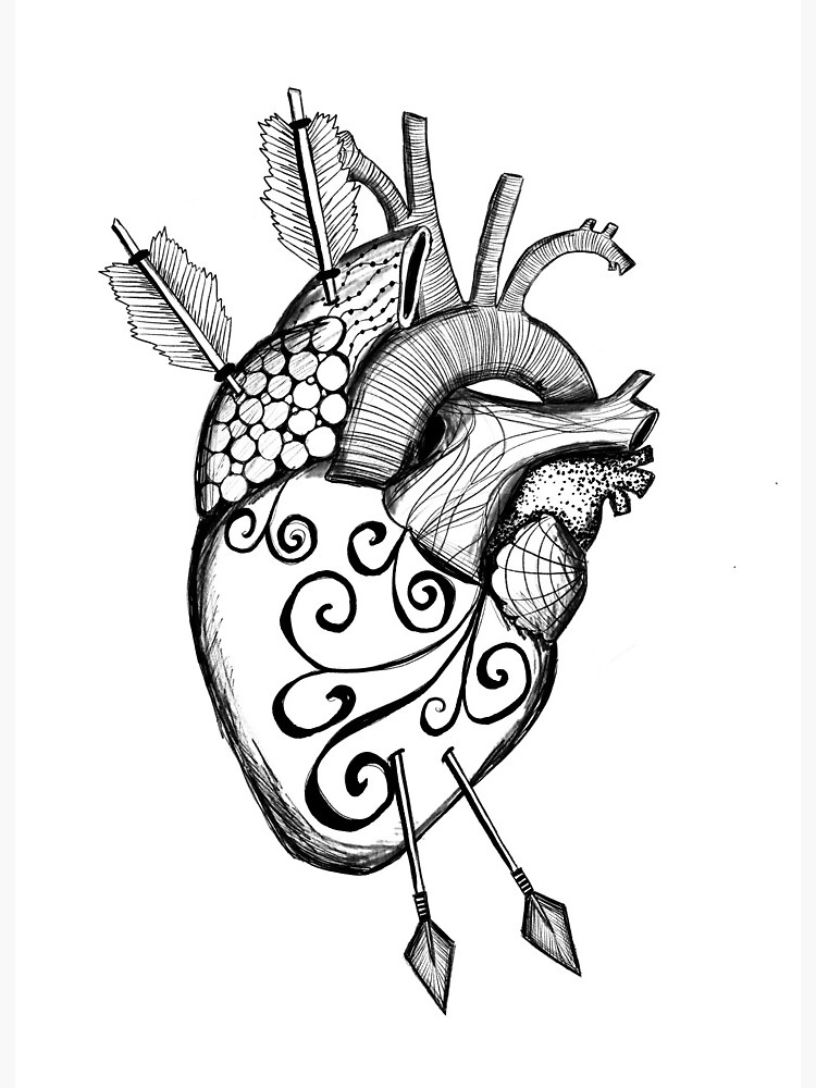 You Got Me Anatomical Heart Heart Doodle Valentine S Day Heart Drawing Love Art Cupid S Arrows Art Board Print By Lauramaxwell Redbubble
