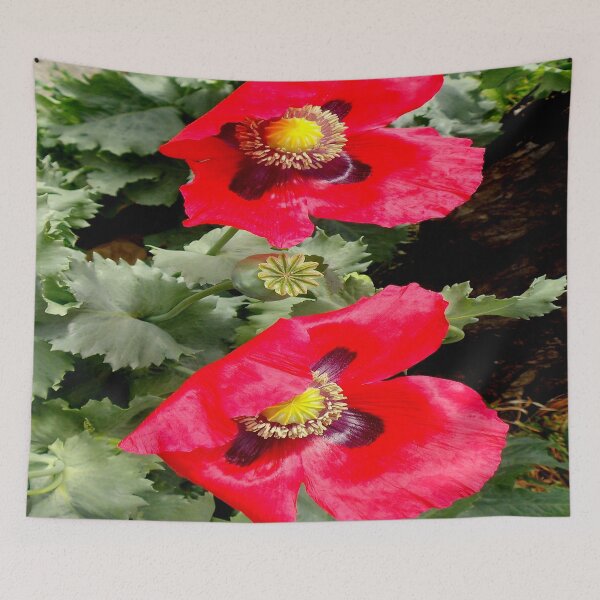 Item preview, Shootin The Breeze designed and sold by Michael May.