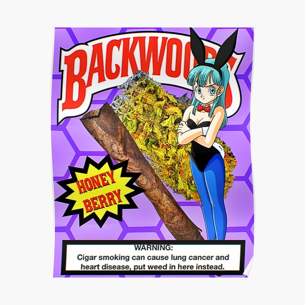 Bulma Backwoods Poster