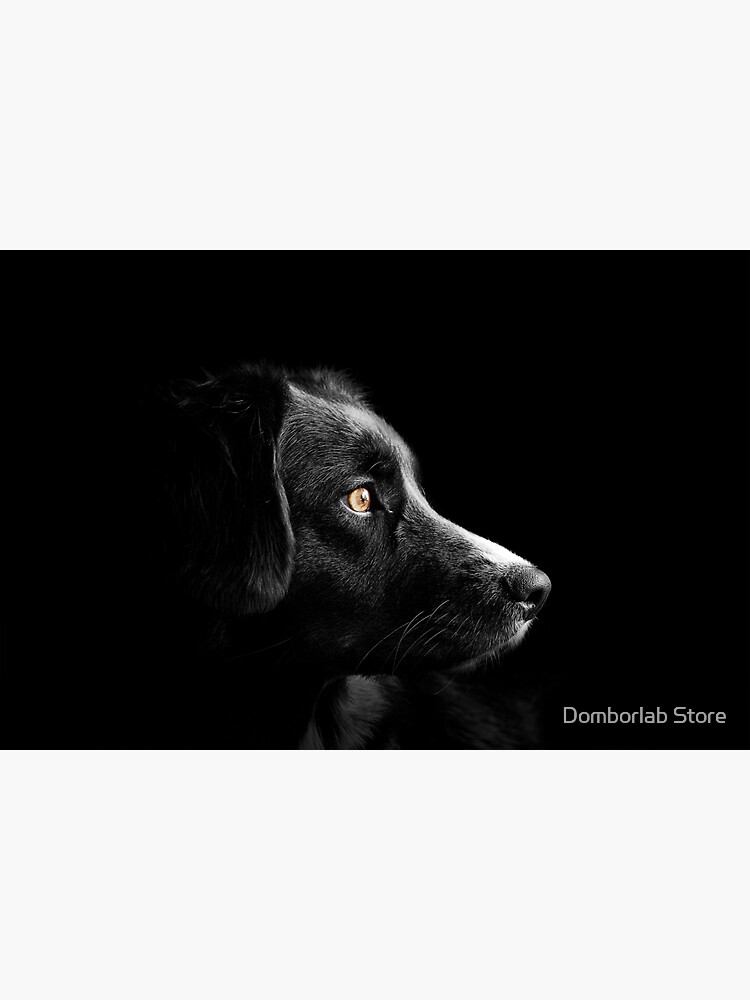 "Black dog yellow eyes" Sticker for Sale by dblab Redbubble