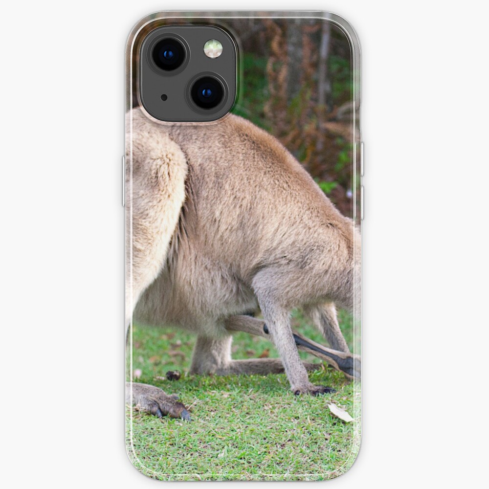 Kangaroo iPhone Case