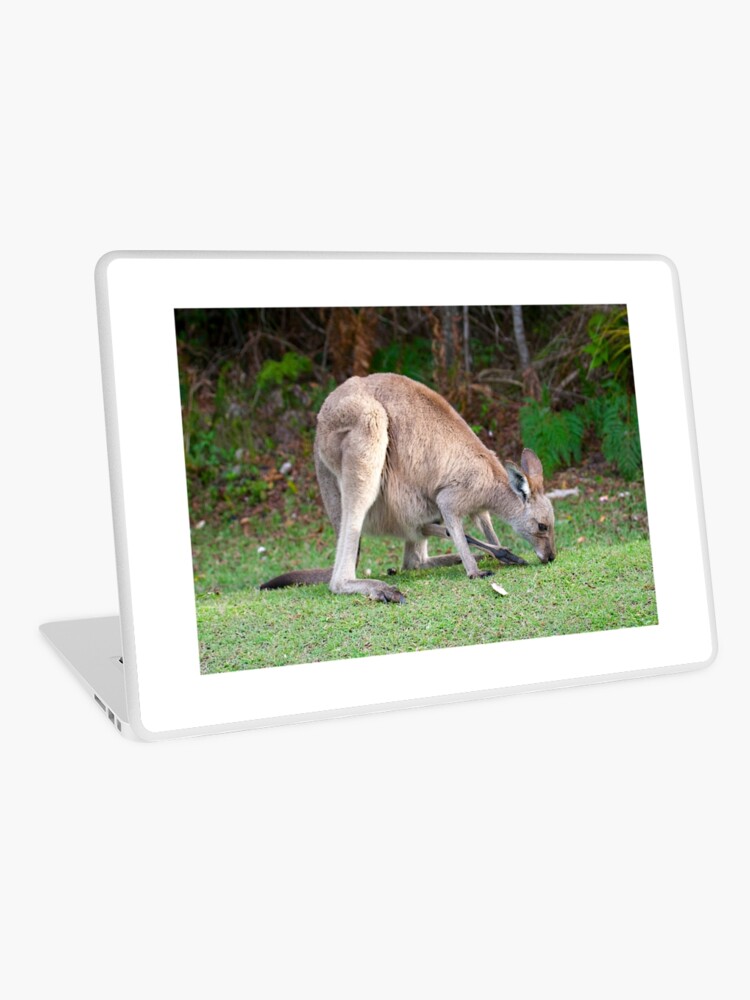 Thumbnail 1 of 2, Laptop Skin, Kangaroo designed and sold by RICHARDW.